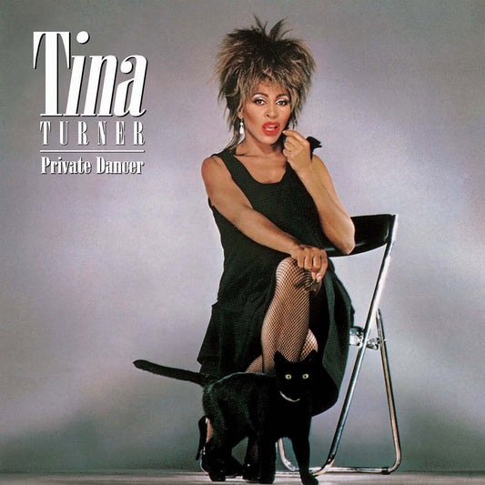 TINA TURNER - PRIVATE DANCER